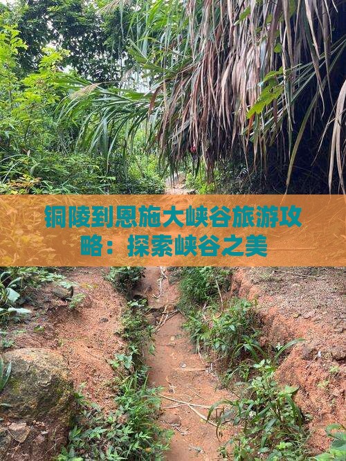 铜陵到恩施大峡谷攻略
