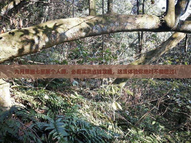 九月去恩施七星寨个人游