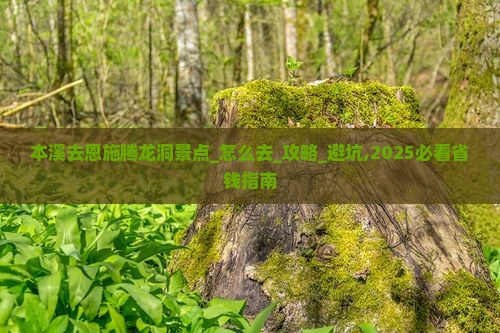 本溪去恩施腾龙洞景点