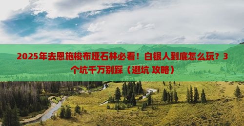 白银去恩施梭布垭石林景点