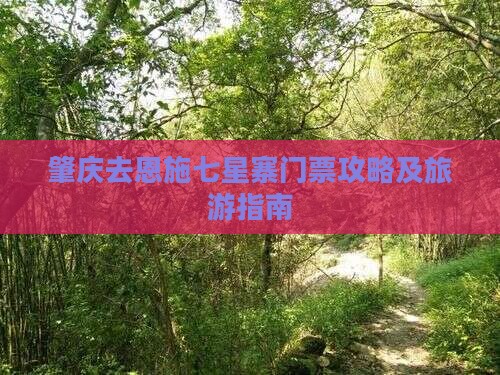 肇庆去恩施七星寨门票