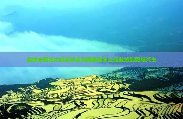 盐城去恩施大峡谷景点