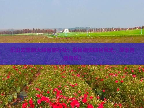 乐山去恩施大峡谷旅行社