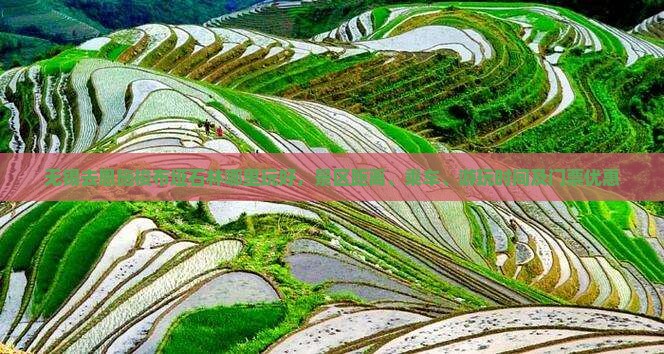 无锡去恩施梭布垭石林哪里玩