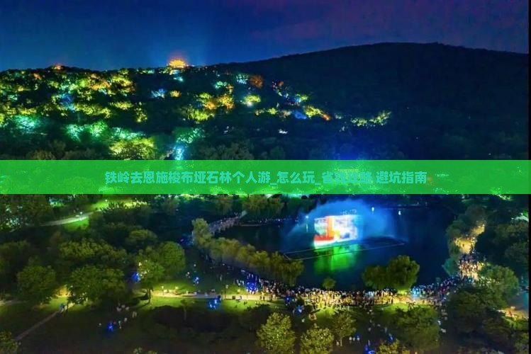 铁岭去恩施梭布垭石林个人游