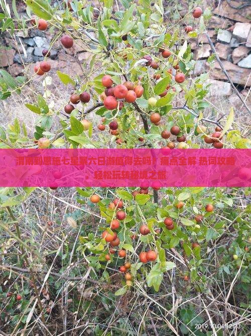 渭南到恩施七星寨六日游