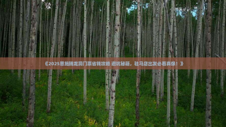 驻马店去恩施腾龙洞门票