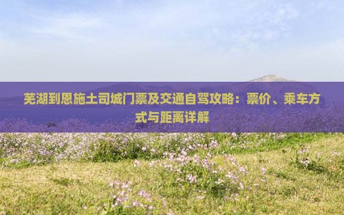 芜湖到恩施土司城门票及交通自驾攻略：票价、乘车方式与距离详解