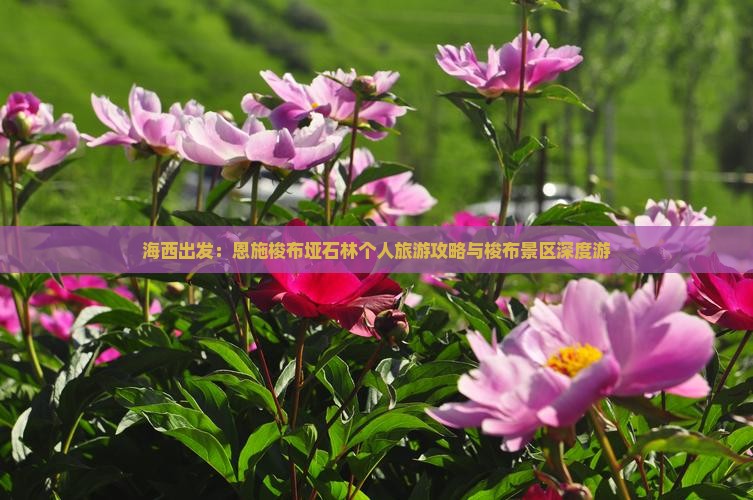 海西出发：恩施梭布垭石林个人旅游攻略与梭布景区深度游