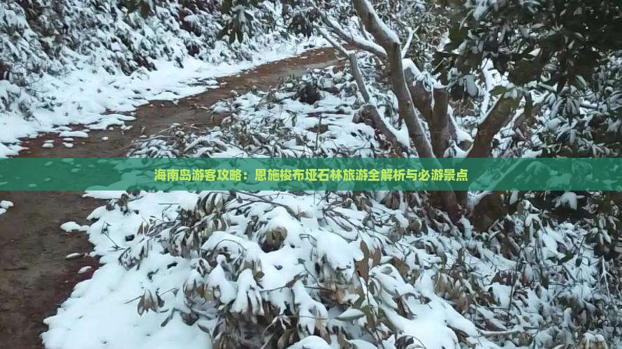海南岛游客攻略：恩施梭布垭石林旅游全解析与必游景点