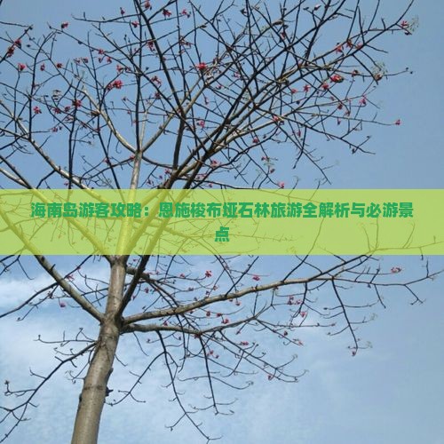 海南岛游客攻略：恩施梭布垭石林旅游全解析与必游景点