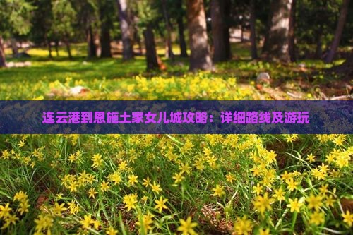 连云港到恩施土家女儿城攻略：详细路线及游玩