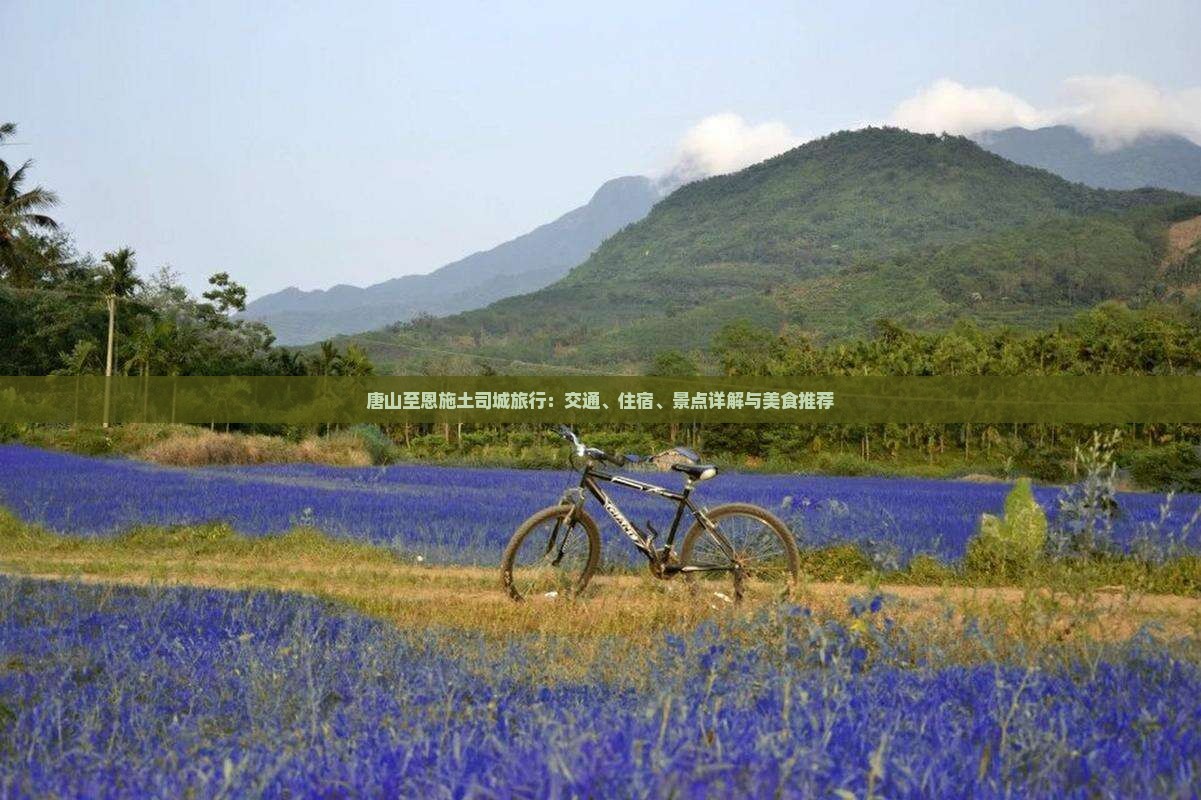 唐山至恩施土司城旅行：交通、住宿、景点详解与美食推荐