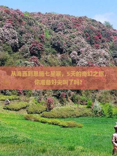 海西去恩施七星寨五日游