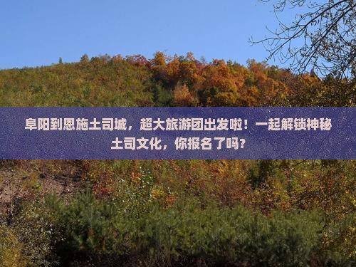 阜阳到恩施土司城大型旅游团