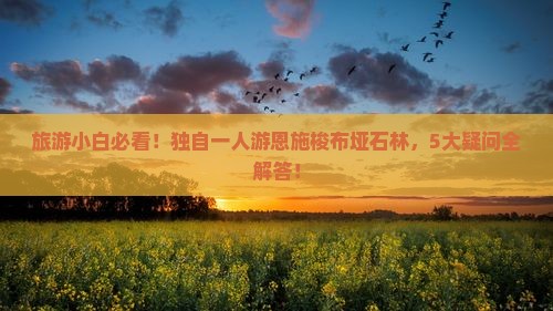 阿泰勒到恩施梭布垭石林个人游