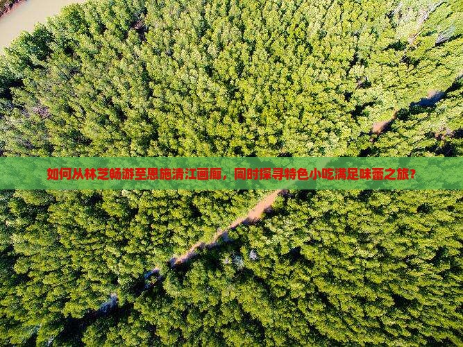 林芝到恩施清江画廊旅游小吃
