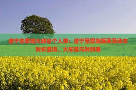 遂宁去恩施大峡谷个人游