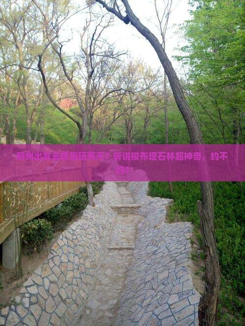 荆州到恩施梭布垭石林二日游