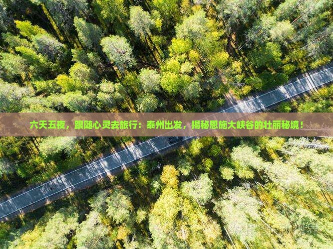 泰州到恩施大峡谷六日游
