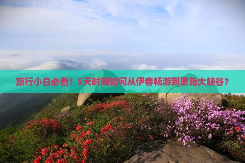 伊春到恩施大峡谷五日游