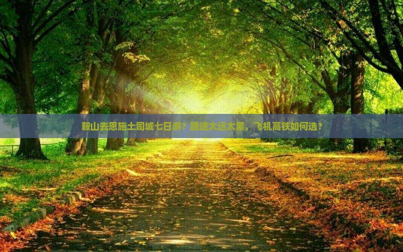 鞍山去恩施土司城七日游