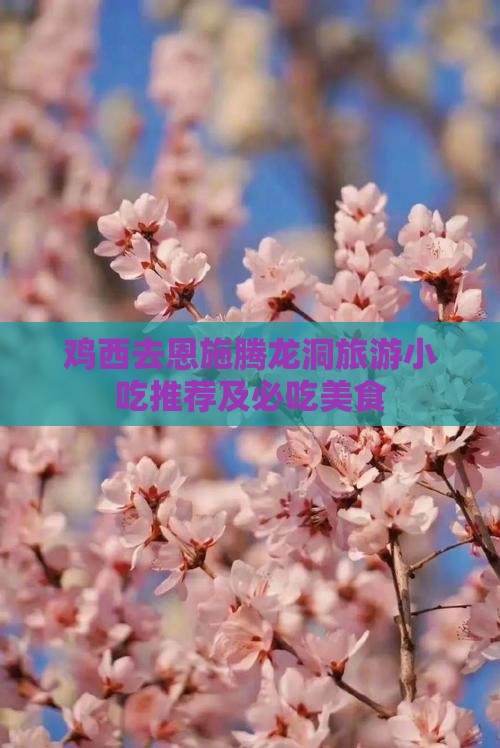 鸡西去恩施腾龙洞旅游小吃