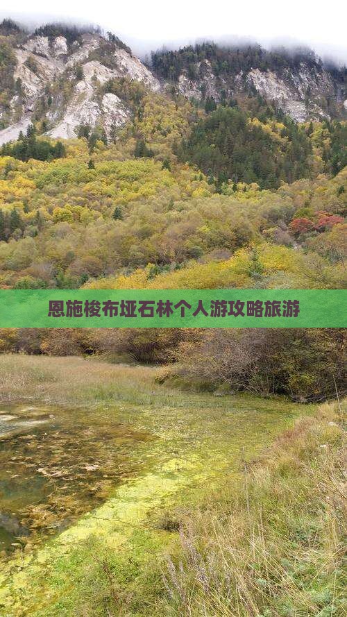 清明节去恩施梭布垭石林个人游