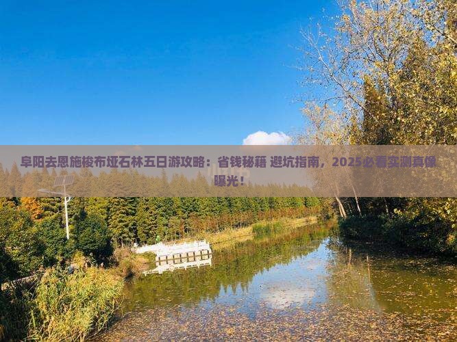 阜阳去恩施梭布垭石林五日游