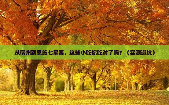 宿州到恩施七星寨旅游小吃
