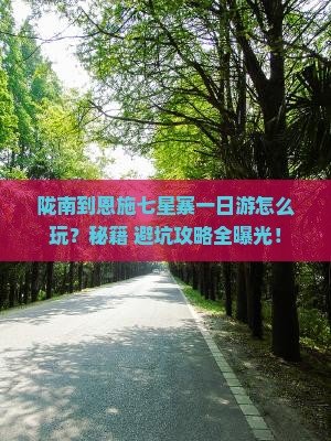 陇南到恩施七星寨一日