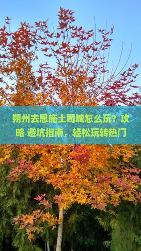 朔州去恩施土司城景点 朔州去恩施土司城景点