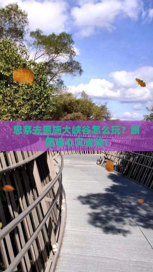 思茅去恩施大峡谷旅行社