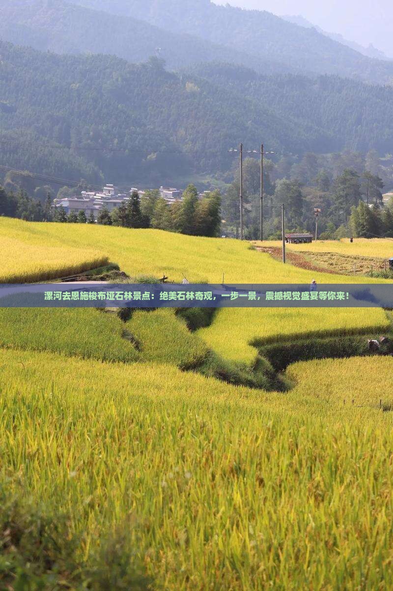 漯河去恩施梭布垭石林景点