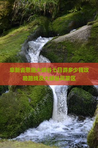 阜新去恩施大峡谷七日游