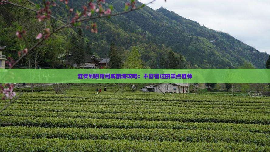 淮安到恩施土司城哪里玩