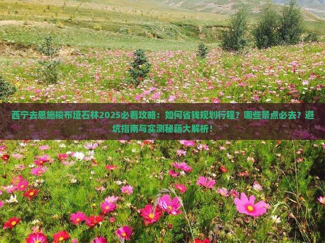 西宁去恩施梭布垭石林必去地