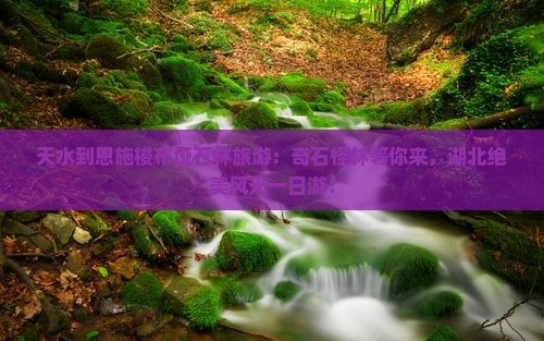 天水到恩施梭布垭石林旅游