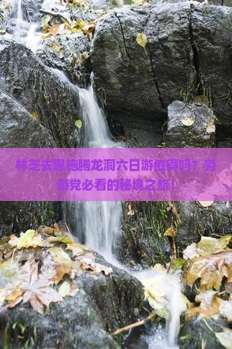 林芝去恩施腾龙洞六日游