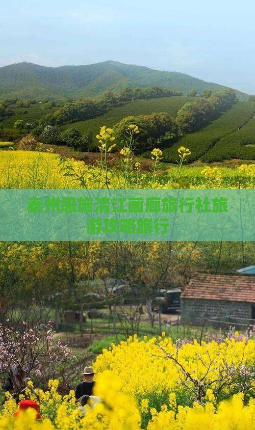 泰州去恩施清江画廊旅行社