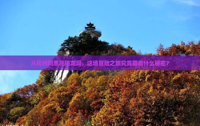 抚州去恩施腾龙洞景点