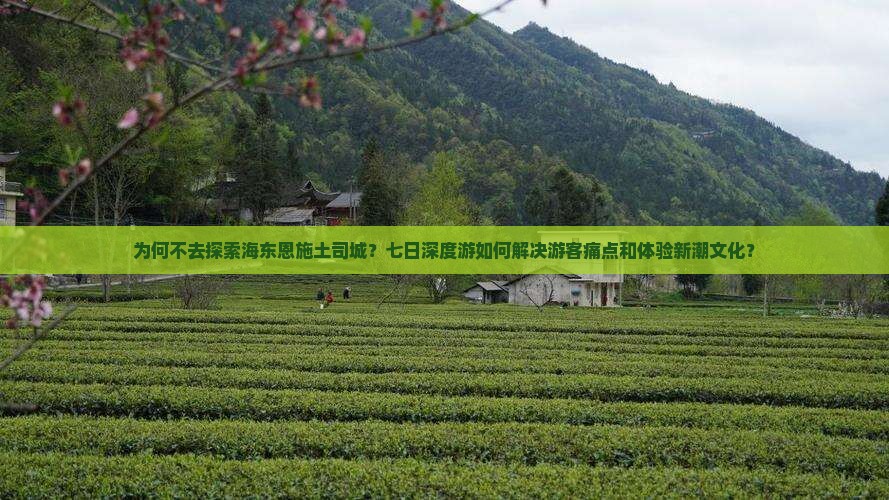 海东去恩施土司城七日游