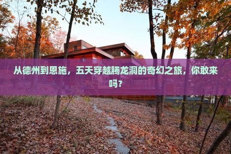 德州去恩施腾龙洞五日游
