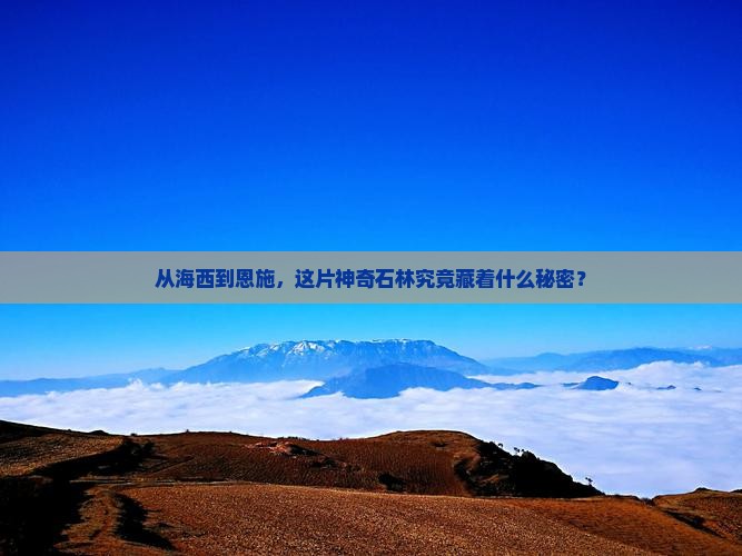 海西去恩施梭布垭石林二日游