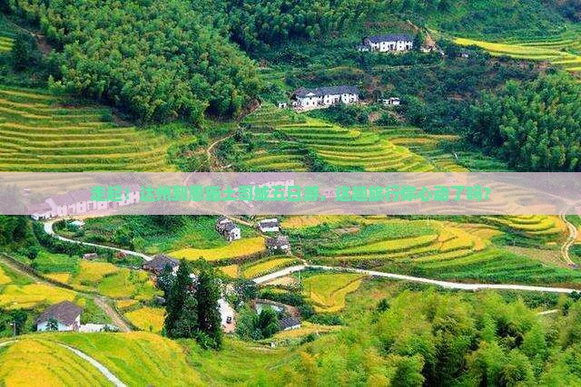 达州到恩施土司城五日游