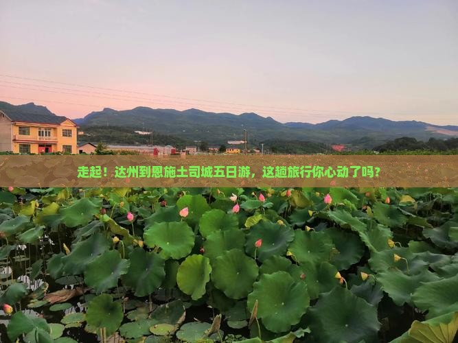 达州到恩施土司城五日游