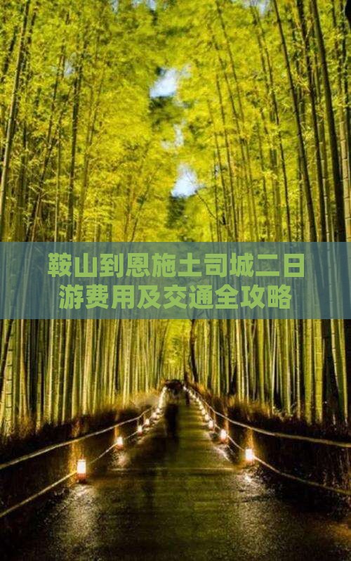 鞍山到恩施土司城二日游