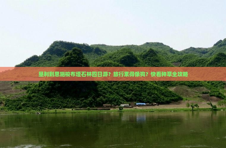 垦利到恩施梭布垭石林四日游
