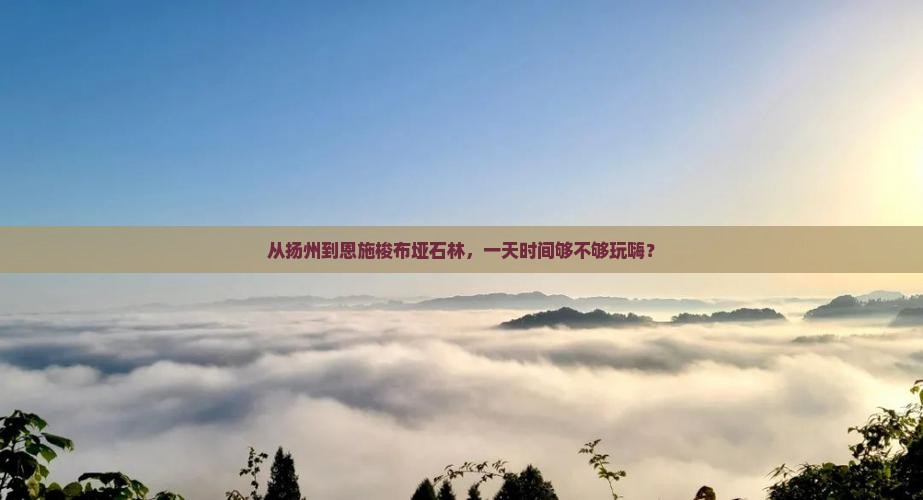 扬州到恩施梭布垭石林一日