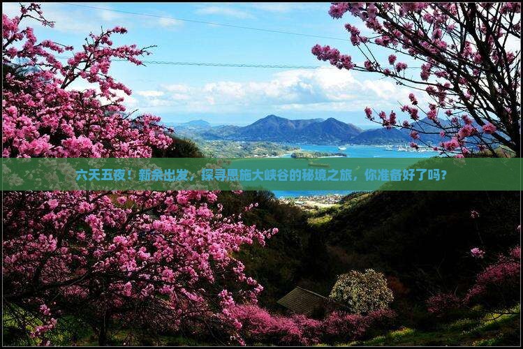 新余去恩施大峡谷六日游